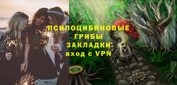 эйфоретик Кукмор