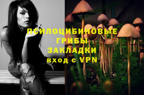 эйфоретик Кострома