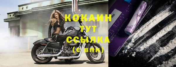 мдпв Кулебаки