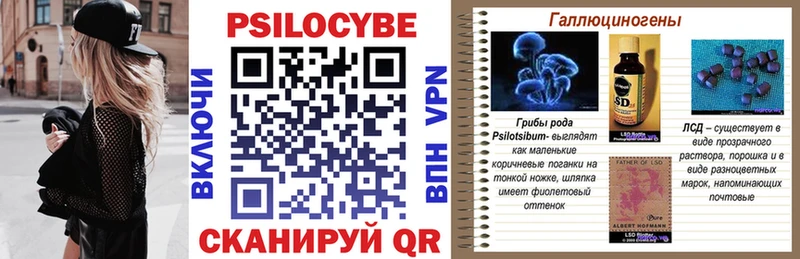 Псилоцибиновые грибы Magic Shrooms  где купить наркоту  ссылка на мегу сайт  Сусуман 